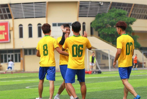 giai vo dich bong da cac doanh nghiep